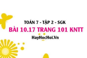 Bài 10.17 trang 101 Toán 7 Tập 2 Kết nối tri thức: Các yếu tố của hình lăng trụ đứng tứ giác